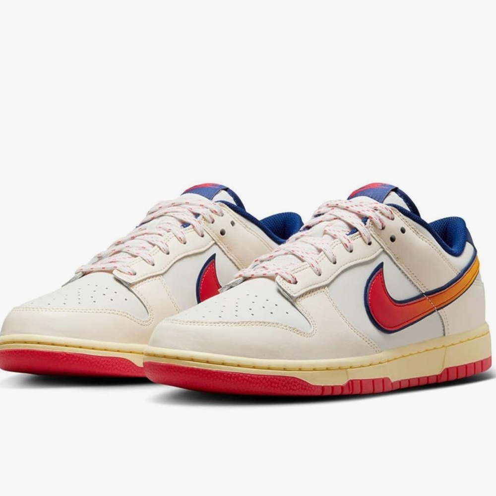 Nike Dunk Retro low top shoes sneakers